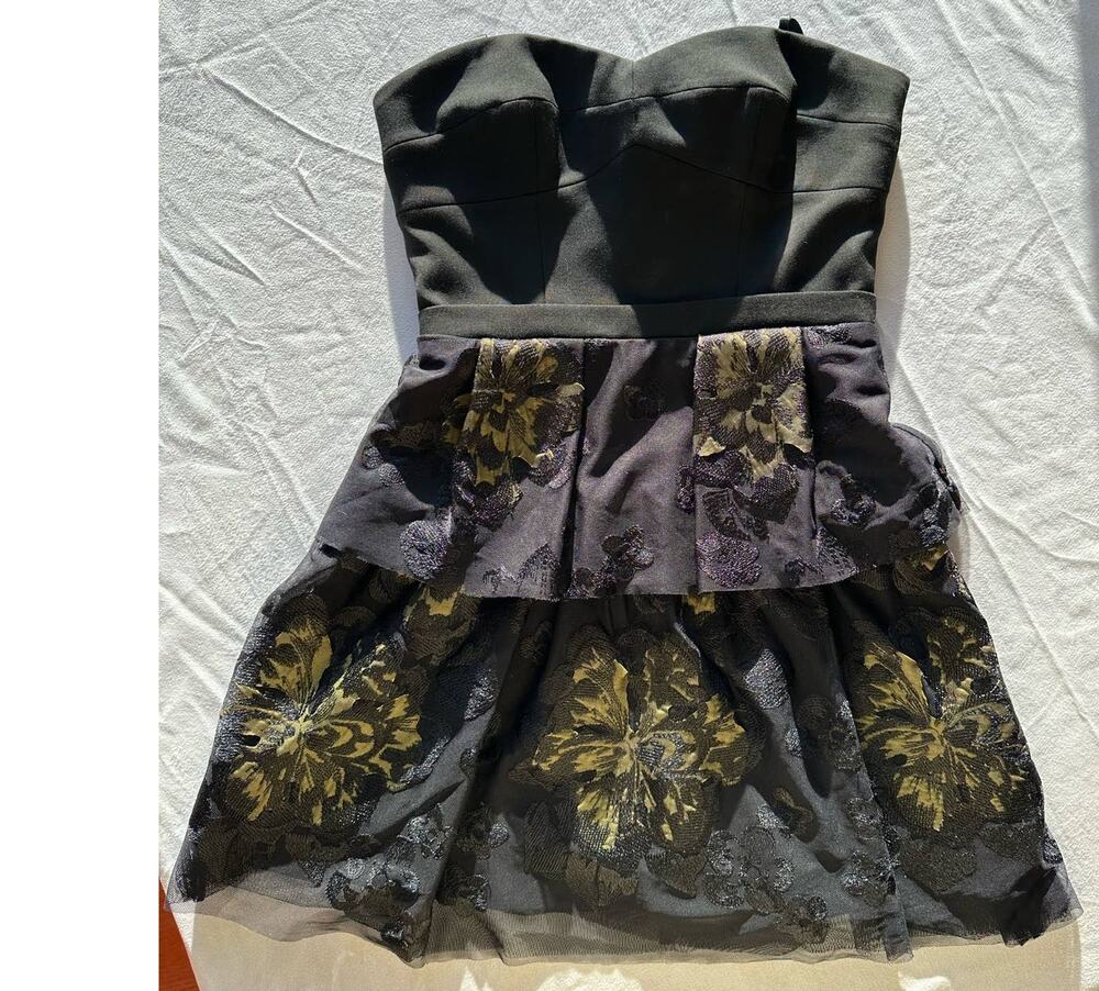 NWT BCBGMaxazria Size 4 Sleeveless "Tia" Embroidered